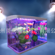 美尚水族 生態魚缸 小型魚缸